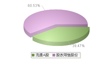 920407(920407)股本结构图