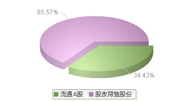 920579(920579)股本结构图