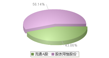 920896(920896)股本结构图