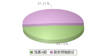 920981(920981)股本结构图